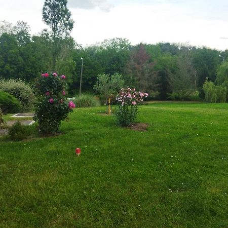 Chambre Avec Entree Independante Dans Un Ecrin De Verdure Dommartin  Exteriör bild