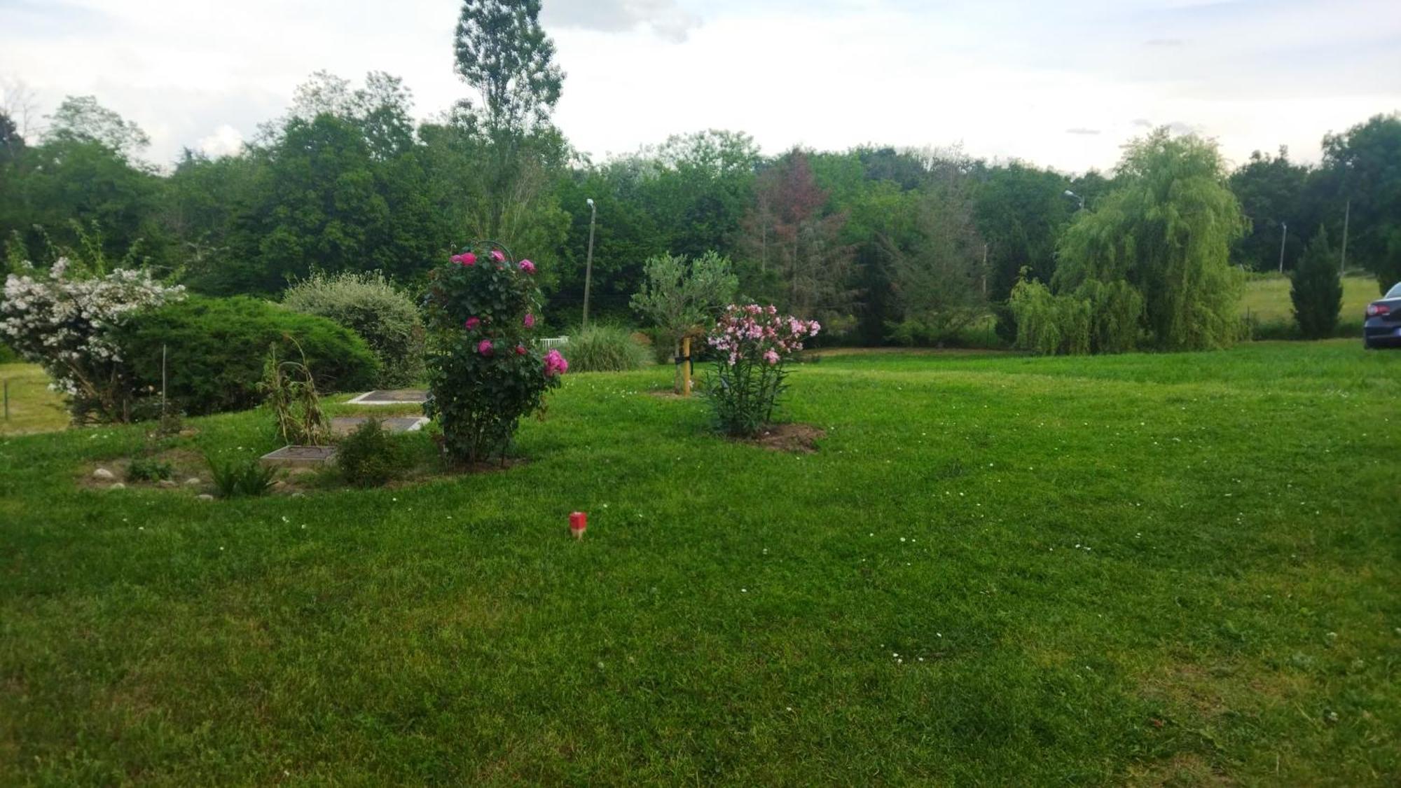 Chambre Avec Entree Independante Dans Un Ecrin De Verdure Dommartin  Exteriör bild